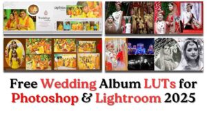 Free Wedding Album LUTs for Photoshop & Lightroom 2025